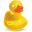 Cyberduck Logs Icon