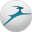 Dashlane Cache Icon