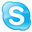 Skype For Salesforce Icon